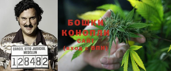 хмурый Осинники
