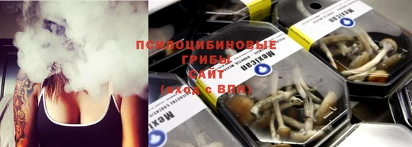спайс Алексин