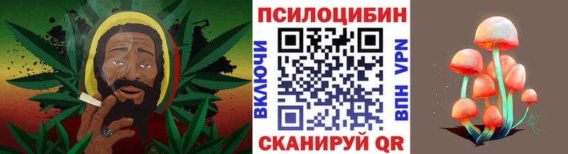наркота  ОМГ ОМГ онион  мориарти какой сайт  Чебаркуль  Псилоцибиновые грибы прущие грибы 